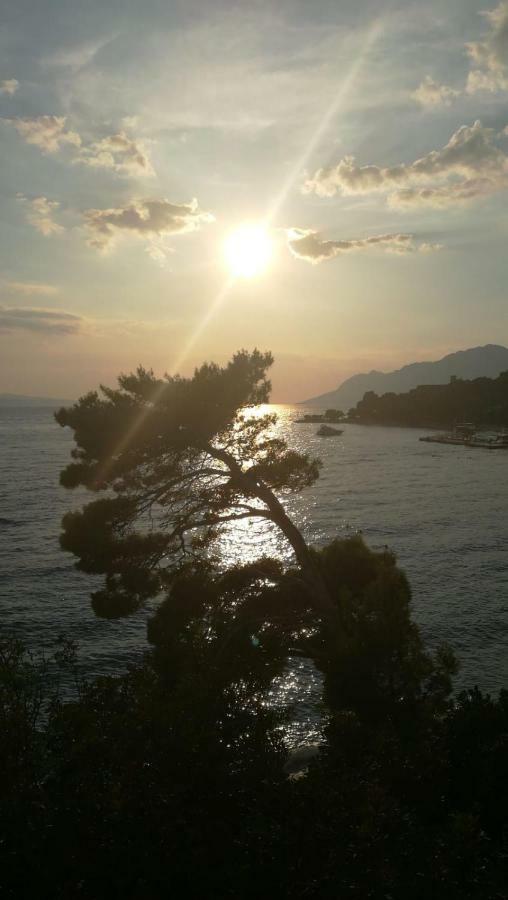 Sea Paradise 布雷拉 外观 照片